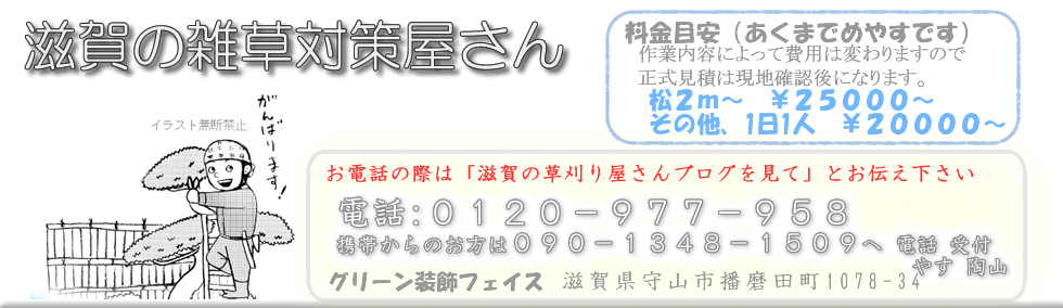 守山市 草むしり 滋賀の雑草対策 草刈り